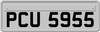 PCU5955