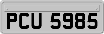 PCU5985