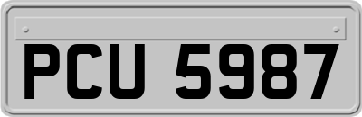 PCU5987
