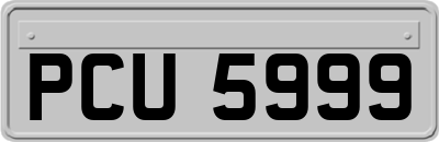 PCU5999