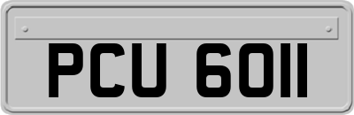 PCU6011