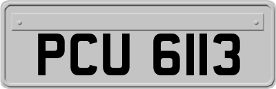 PCU6113