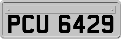PCU6429