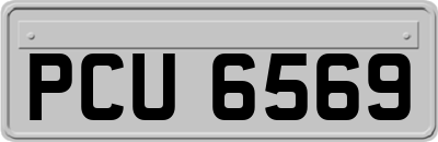 PCU6569