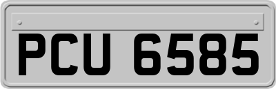 PCU6585