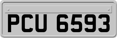PCU6593