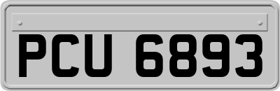 PCU6893