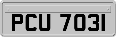 PCU7031