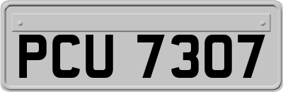 PCU7307