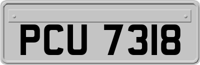 PCU7318