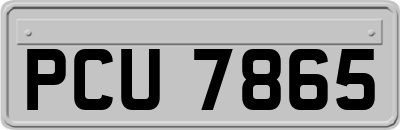 PCU7865
