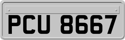 PCU8667