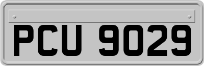 PCU9029