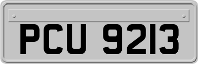 PCU9213