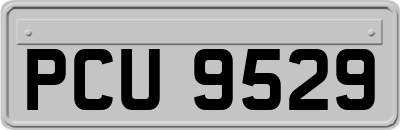 PCU9529