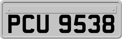 PCU9538