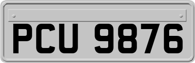 PCU9876