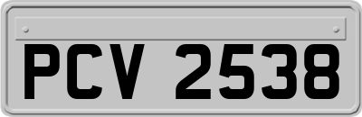 PCV2538