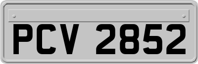 PCV2852