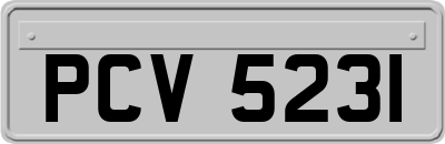 PCV5231