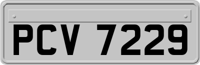 PCV7229