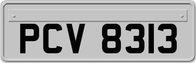 PCV8313