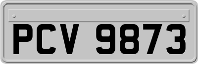 PCV9873