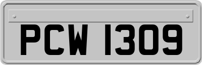 PCW1309