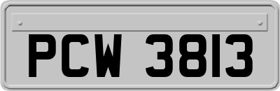 PCW3813