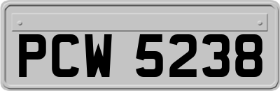 PCW5238