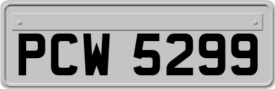 PCW5299