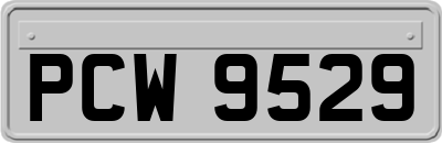 PCW9529