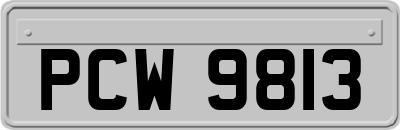 PCW9813
