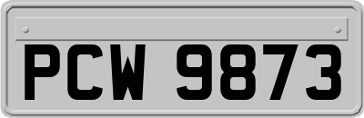 PCW9873