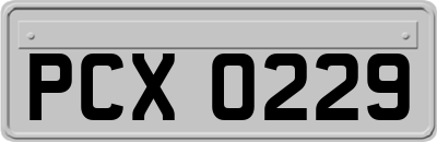 PCX0229