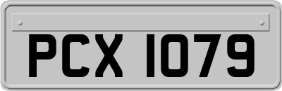 PCX1079