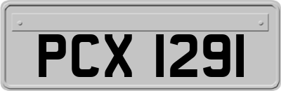 PCX1291