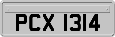 PCX1314