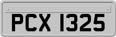 PCX1325
