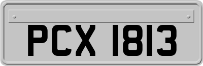 PCX1813