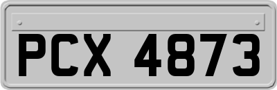PCX4873