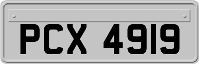 PCX4919