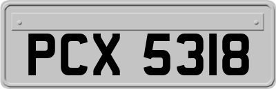 PCX5318