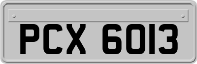 PCX6013