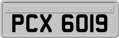 PCX6019