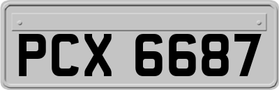PCX6687