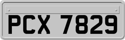 PCX7829
