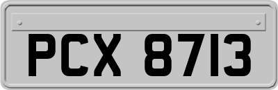 PCX8713