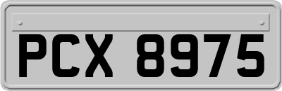 PCX8975