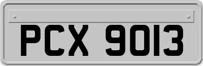 PCX9013